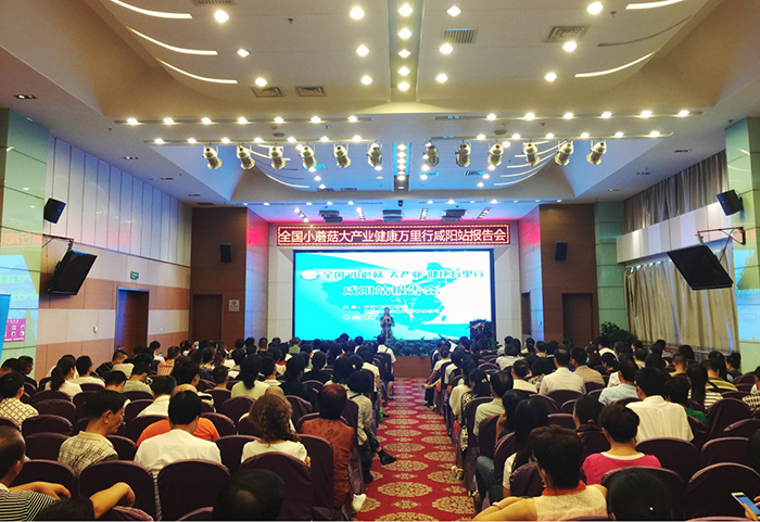 專(zhuān)題報(bào)道