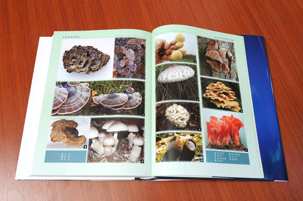 圖片關(guān)鍵詞 圖片關(guān)鍵詞