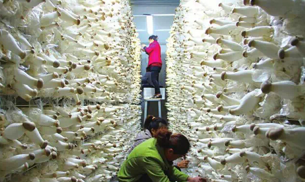 圖片關鍵詞 圖片關鍵詞