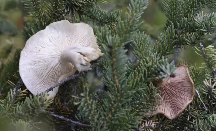 圖片關鍵詞 圖片關鍵詞