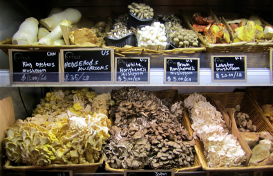 圖片關鍵詞 圖片關鍵詞