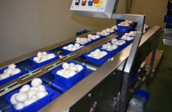 圖片關鍵詞 圖片關鍵詞