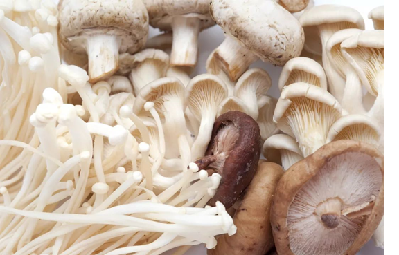 圖片關鍵詞 圖片關鍵詞