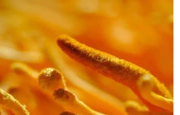 圖片關鍵詞 圖片關鍵詞