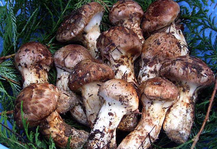 圖片關(guān)鍵詞 圖片關(guān)鍵詞