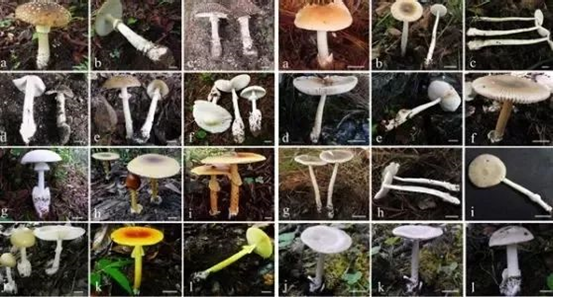 圖片關鍵詞 圖片關鍵詞