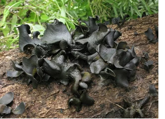 圖片關鍵詞 圖片關鍵詞