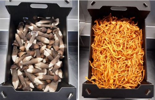 圖片關鍵詞 http://www.mushroommarket.net/file/upload/202003/17/10-37-06-53-283825.png