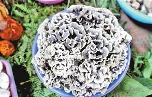 圖片關(guān)鍵詞 圖片關(guān)鍵詞