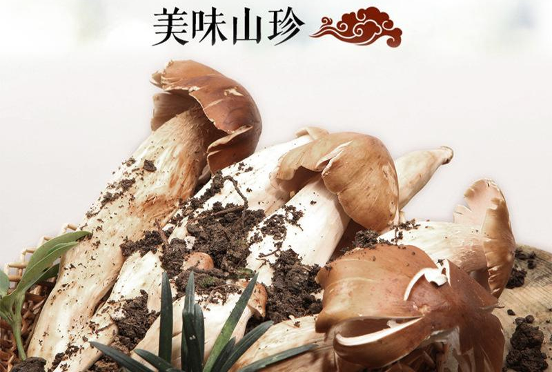 圖片關鍵詞 https://mmbiz.qpic.cn/mmbiz_png/5Ak7sSYyYPJhrmNyQzDMJXmbjJjcjz2qq6x8Z7KkKVox6z966HIGH0cs1wEJH6SawuUZLOLmicZgbJdKPsdDpvg/640?wx_fmt=png