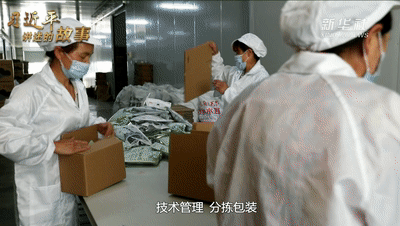 圖片關(guān)鍵詞 https://mmbiz.qpic.cn/mmbiz_gif/SxfSv2XOxf7F6h9Fnpicibhibo2FtzRrSNmGrcEic7PkGnaVJs3AYIH0bJqefGUayp01HtIEcnyuHnRWK7NJMRazKw/640?wx_fmt=gif&tp=webp&wxfrom=5&wx_lazy=1