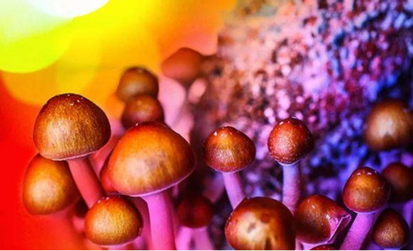 圖片關(guān)鍵詞 圖片關(guān)鍵詞