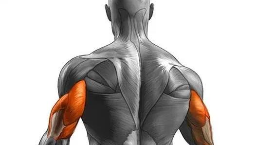 圖片關鍵詞 http://www.mushroomchina.cn/uploads/allimg/201223/1-201223155159105.jpg