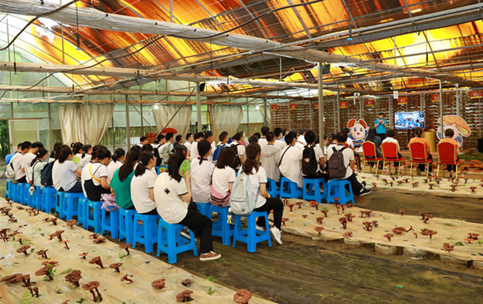 圖片關鍵詞 圖片關鍵詞