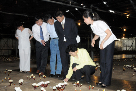 圖片關鍵詞 圖片關鍵詞