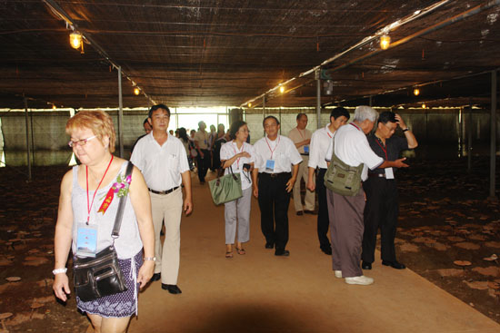 圖片關鍵詞 圖片關鍵詞