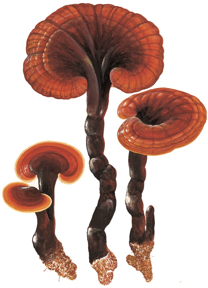 圖片關(guān)鍵詞 圖片關(guān)鍵詞