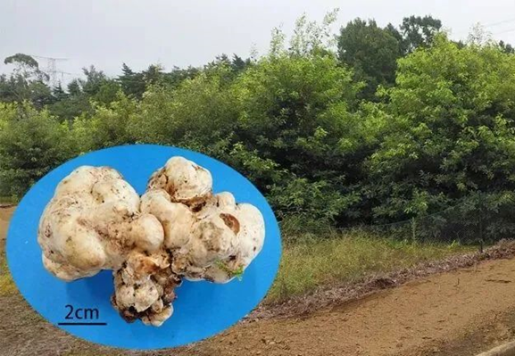 圖片關(guān)鍵詞 圖片關(guān)鍵詞