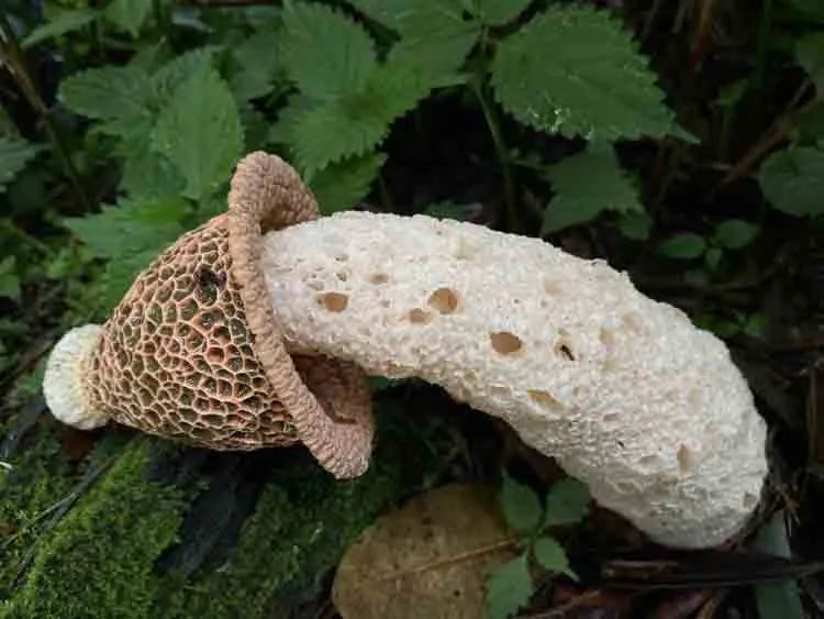 圖片關鍵詞 圖片關鍵詞