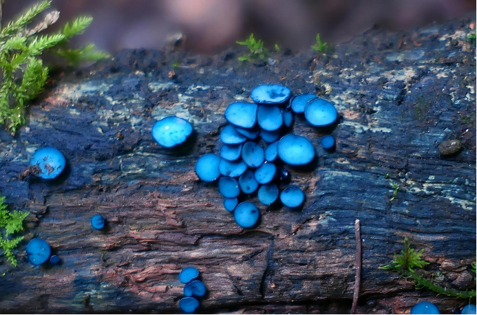 圖片關(guān)鍵詞