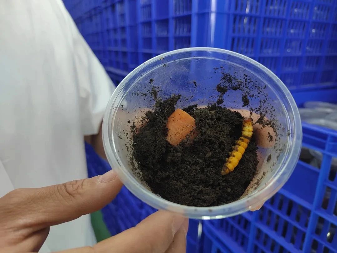 圖片關(guān)鍵詞