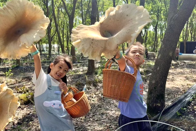 圖片關(guān)鍵詞