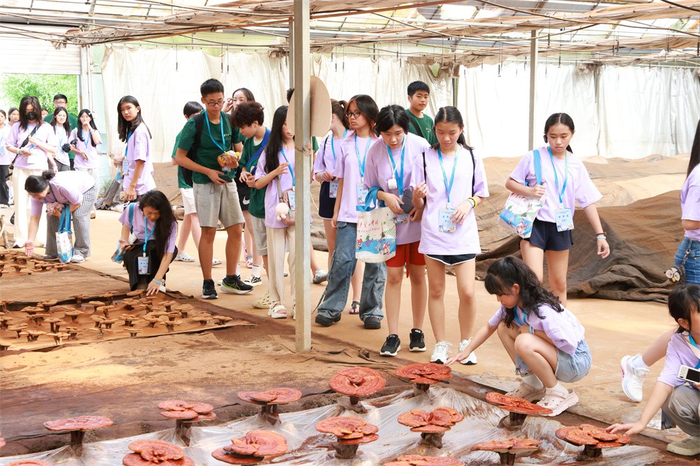 圖片關(guān)鍵詞