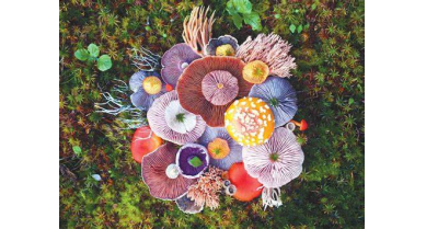 行業(yè)動態(tài)